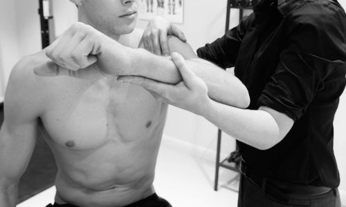 Physiotherapists